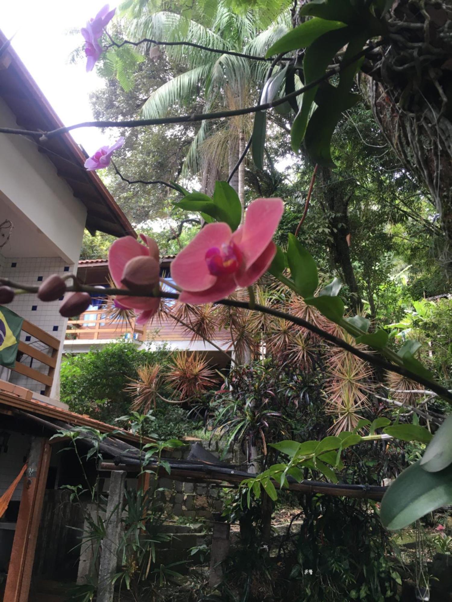 Tiki Bangalos Apartamento Florianopolis